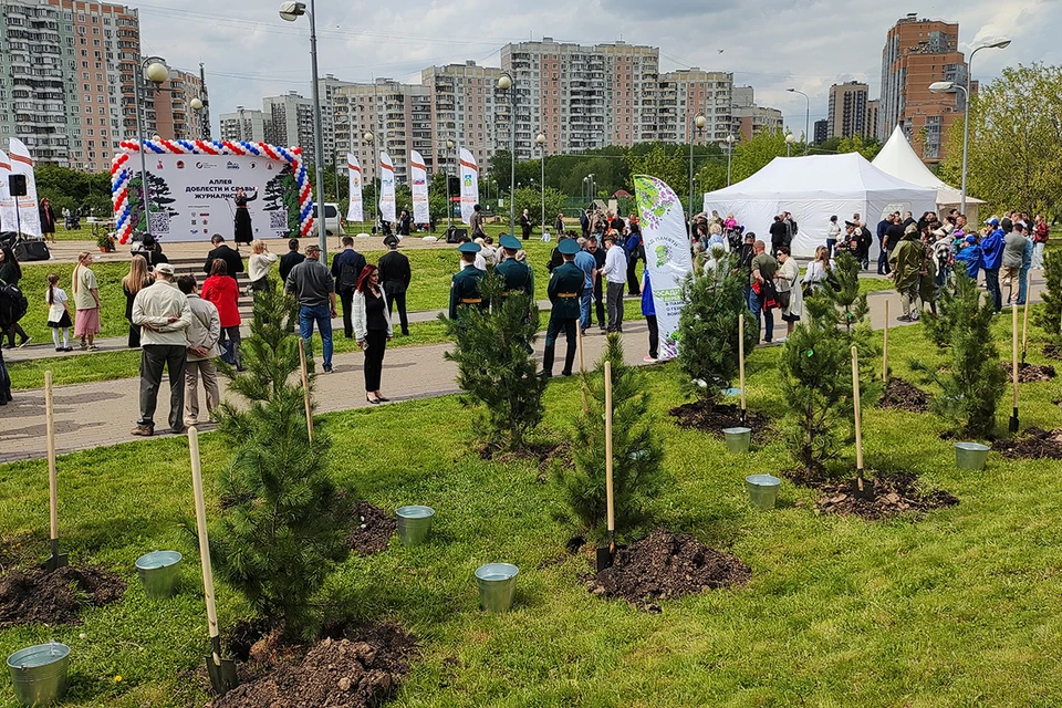 Они сражаются за историческую память, за право нашего народа быть услышанным: В Москве посадили кедры в честь погибших военкоров