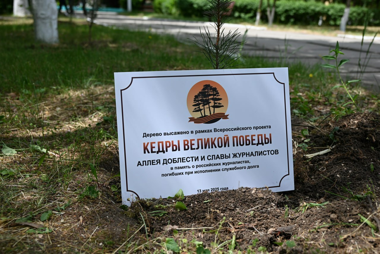 В Новотроицке появилась Аллея доблести и славы в память о погибших журналистах