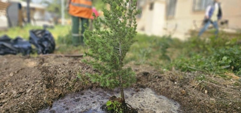 Севастополь присоединился к всероссийскому проекту 